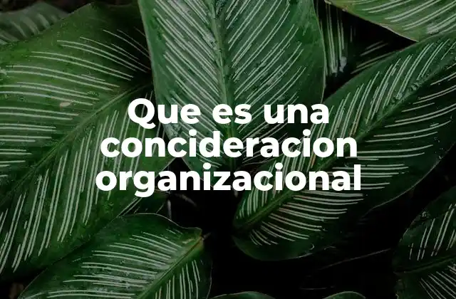 Que es una Concideracion Organizacional