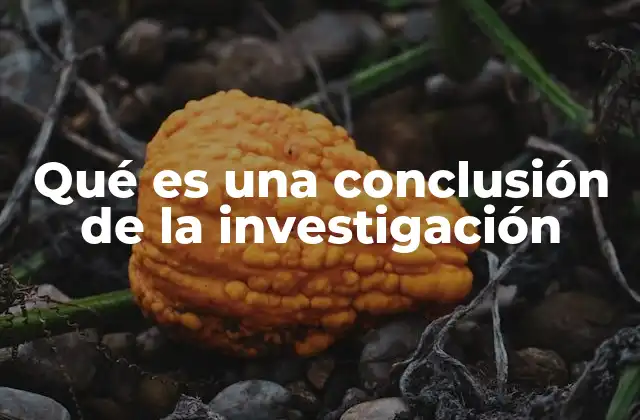 Qué es una Conclusión de la Investigación