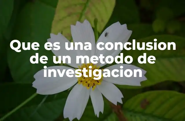 Que es una Conclusion de un Metodo de Investigacion