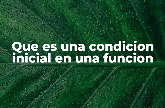 Que es una Condicion Inicial en una Funcion