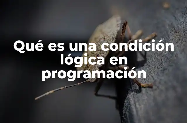 Qué es una Condición Lógica en Programación