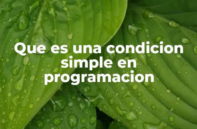 Que es una Condicion Simple en Programacion