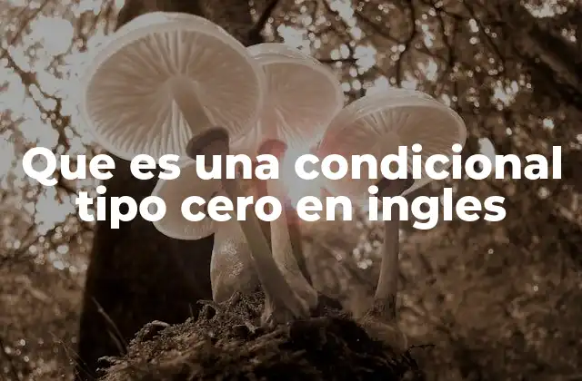 Que es una Condicional Tipo Cero en Ingles