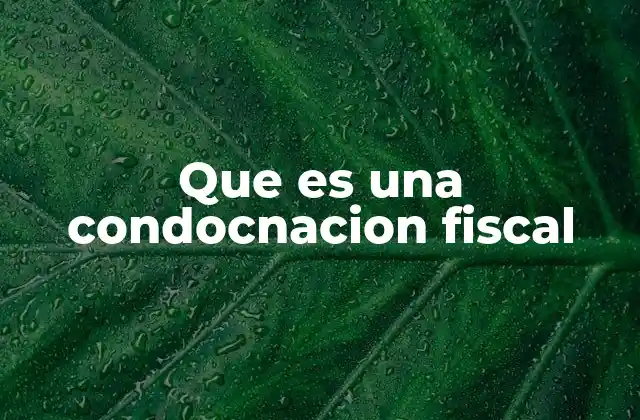 Que es una Condocnacion Fiscal