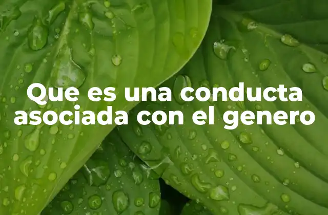El impacto social de las conductas de género