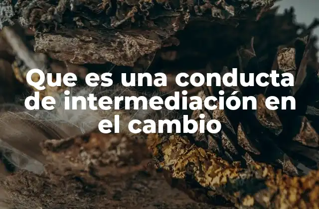 Que es una Conducta de Intermediación en el Cambio