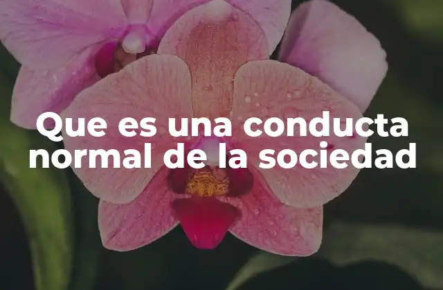 Que es una Conducta Normal de la Sociedad 2 Factores que definen una conducta socialmente aceptable
