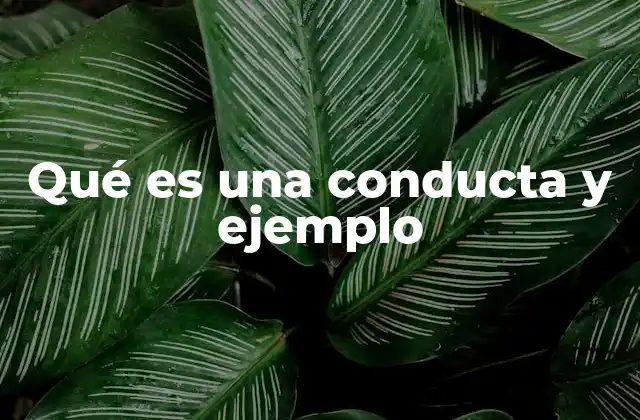 Qué es una Conducta y Ejemplo