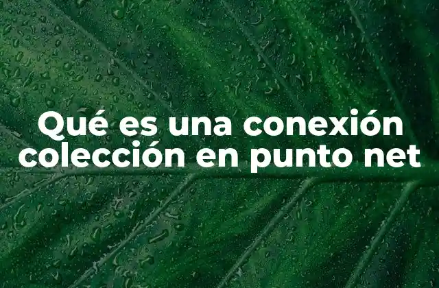 Qué es una Conexión Colección en Punto Net 2 La importancia de las conexiones en redes modernas