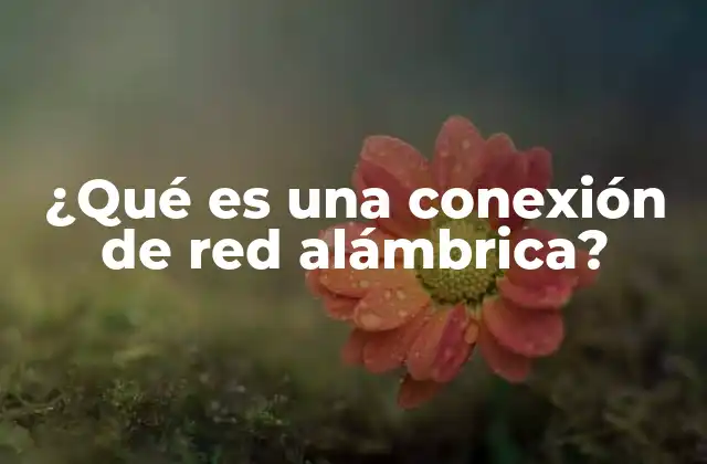 ¿qué es una Conexión de Red Alámbrica?