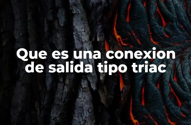 Que es una Conexion de Salida Tipo Triac
