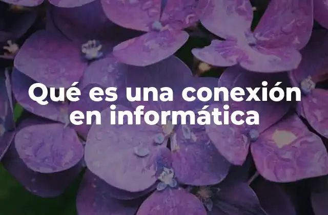 Qué es una Conexión en Informática