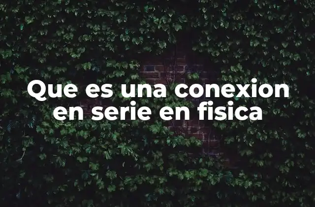 Que es una Conexion en Serie en Fisica