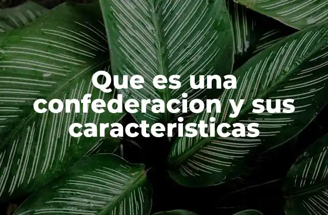 Que es una Confederacion y Sus Caracteristicas