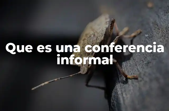 Que es una Conferencia Informal
