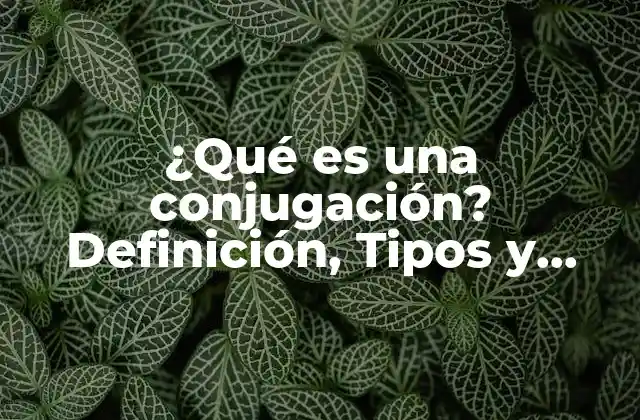 ¿qué es una Conjugación? Definición, Tipos y Ejemplos