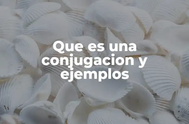 Que es una Conjugacion y Ejemplos