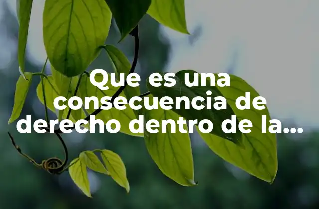 Que es una Consecuencia de Derecho Dentro de la Familia
