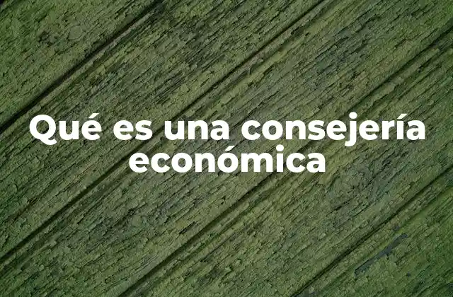 Qué es una Consejería Económica