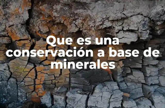 Que es una Conservación a Base de Minerales