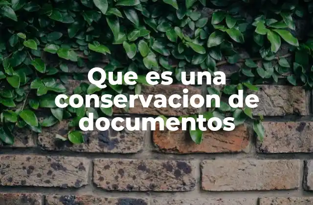 Que es una Conservacion de Documentos
