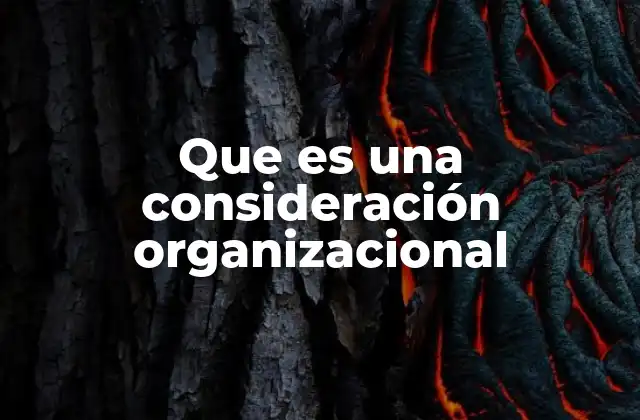 Que es una Consideración Organizacional