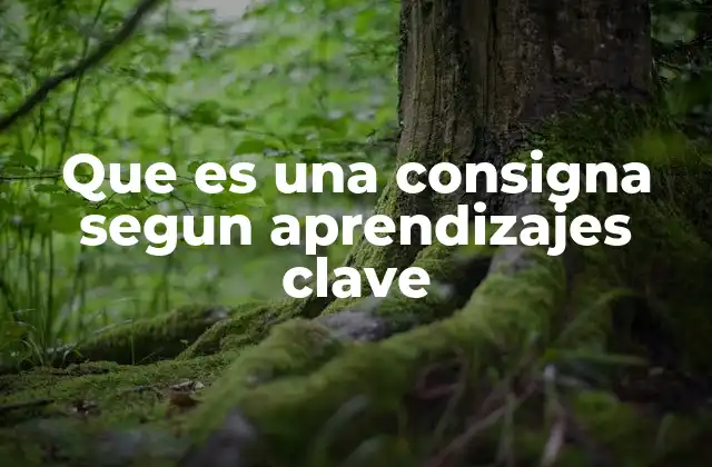 Que es una Consigna Segun Aprendizajes Clave