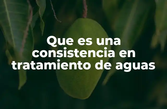 Que es una Consistencia en Tratamiento de Aguas