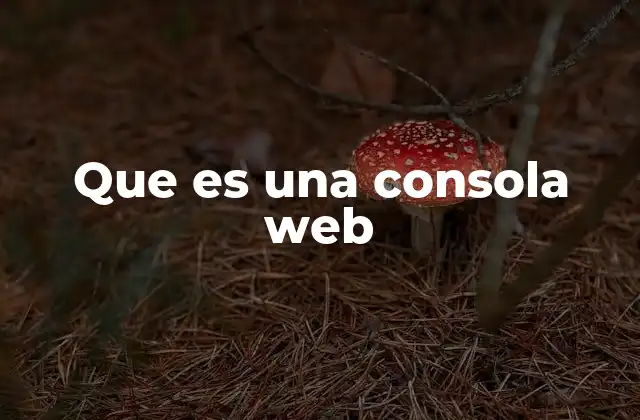 Que es una Consola Web