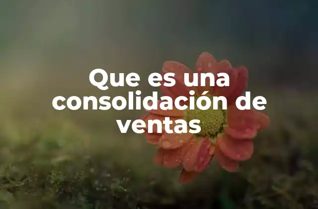 Que es una Consolidación de Ventas