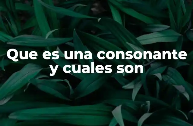 Que es una Consonante y Cuales Son