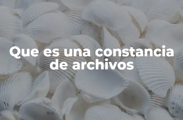 Que es una Constancia de Archivos