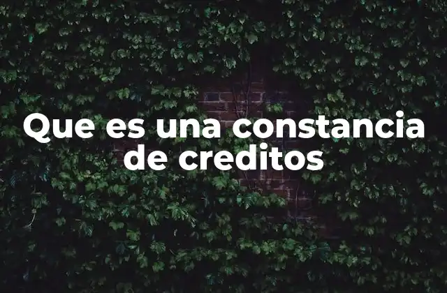 Que es una Constancia de Creditos