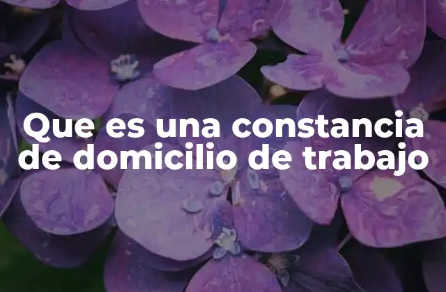Que es una Constancia de Domicilio de Trabajo 2 El papel del domicilio en la actividad empresarial