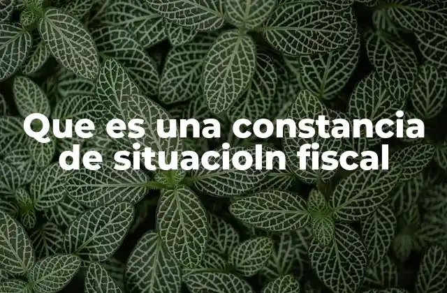 Que es una Constancia de Situacioln Fiscal