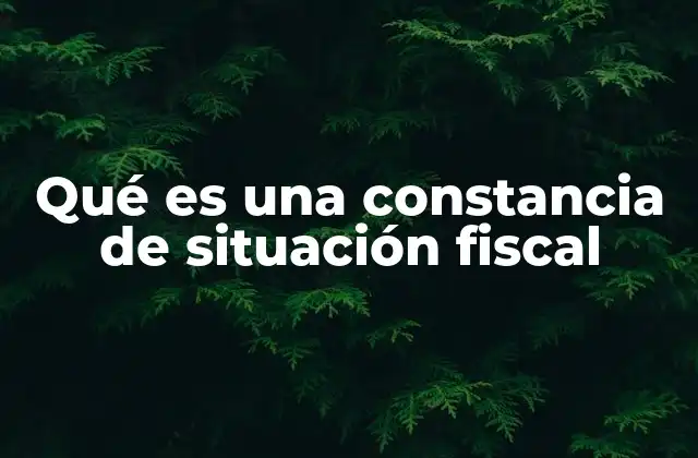 Qué es una Constancia de Situación Fiscal