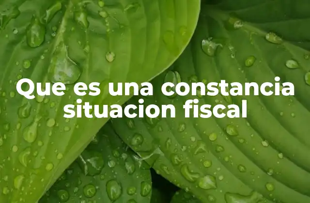 Que es una Constancia Situacion Fiscal