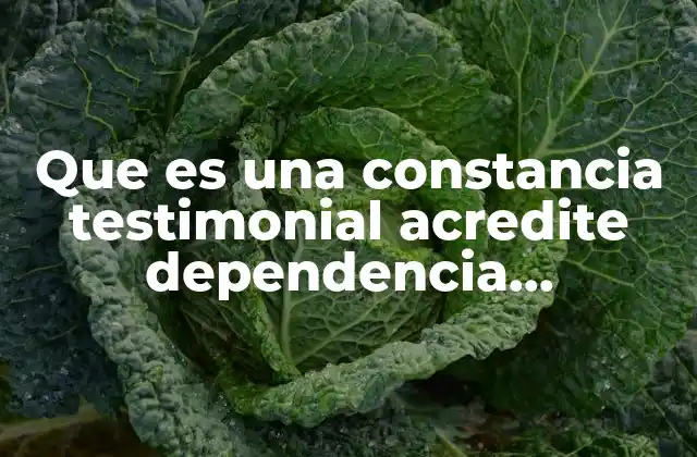 Que es una Constancia Testimonial Acredite Dependencia Económica Coahuila