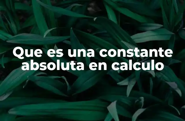 El papel de las constantes en el desarrollo del cálculo