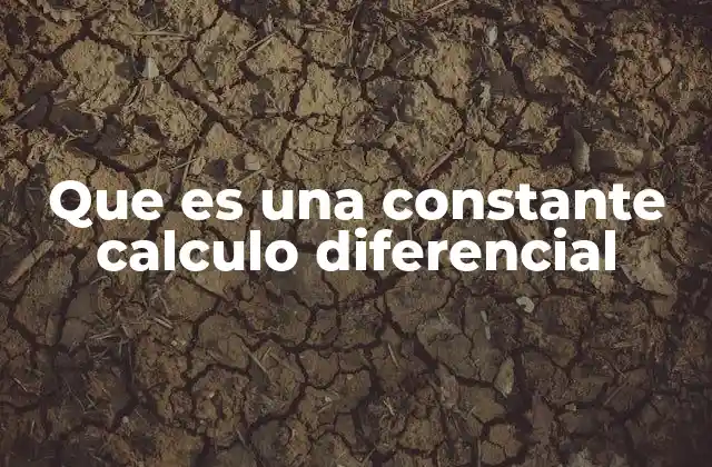 Que es una Constante Calculo Diferencial