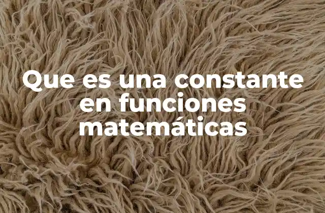 Que es una Constante en Funciones Matemáticas