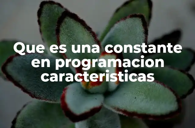 Que es una Constante en Programacion Caracteristicas