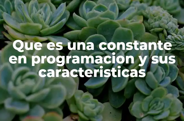 Que es una Constante en Programacion y Sus Caracteristicas