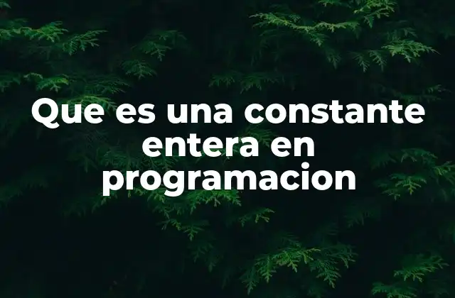 Que es una Constante Entera en Programacion