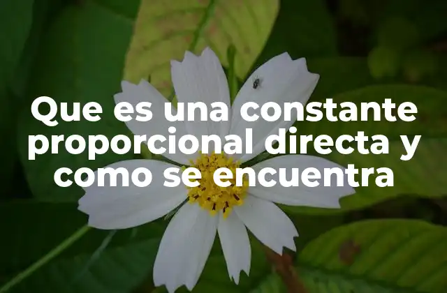Que es una Constante Proporcional Directa y como Se Encuentra