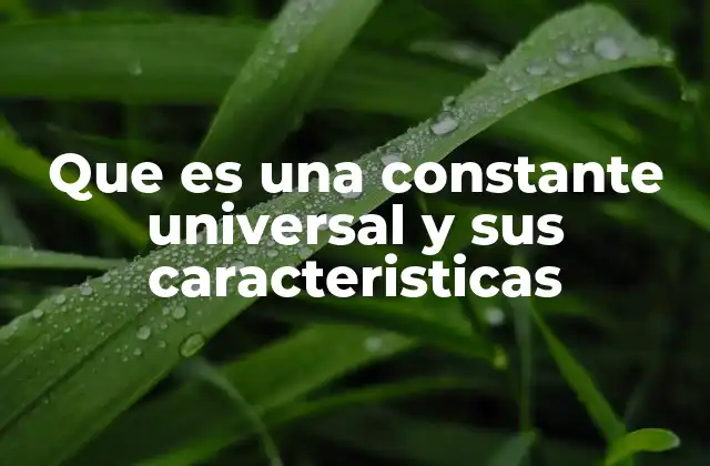 Que es una Constante Universal y Sus Caracteristicas