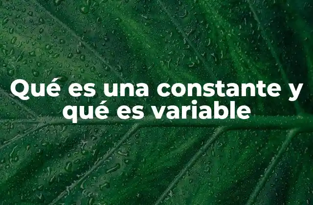 Qué es una Constante y Qué es Variable