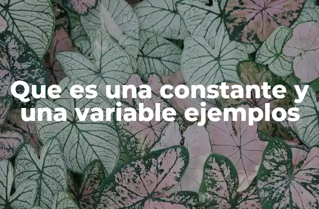 La diferencia fundamental entre constantes y variables