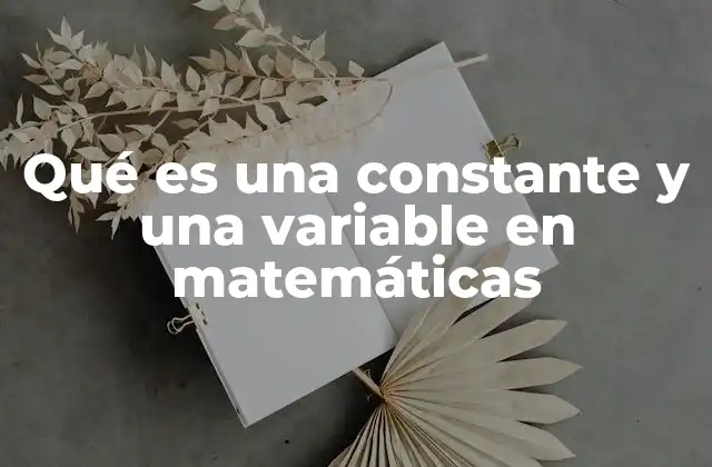 Qué es una Constante y una Variable en Matemáticas