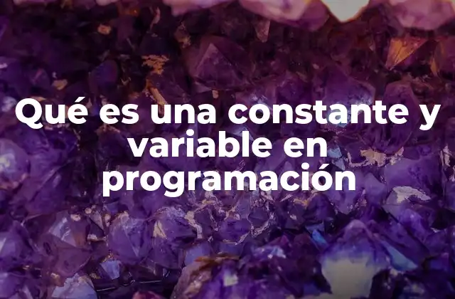 La importancia de almacenar valores en programación